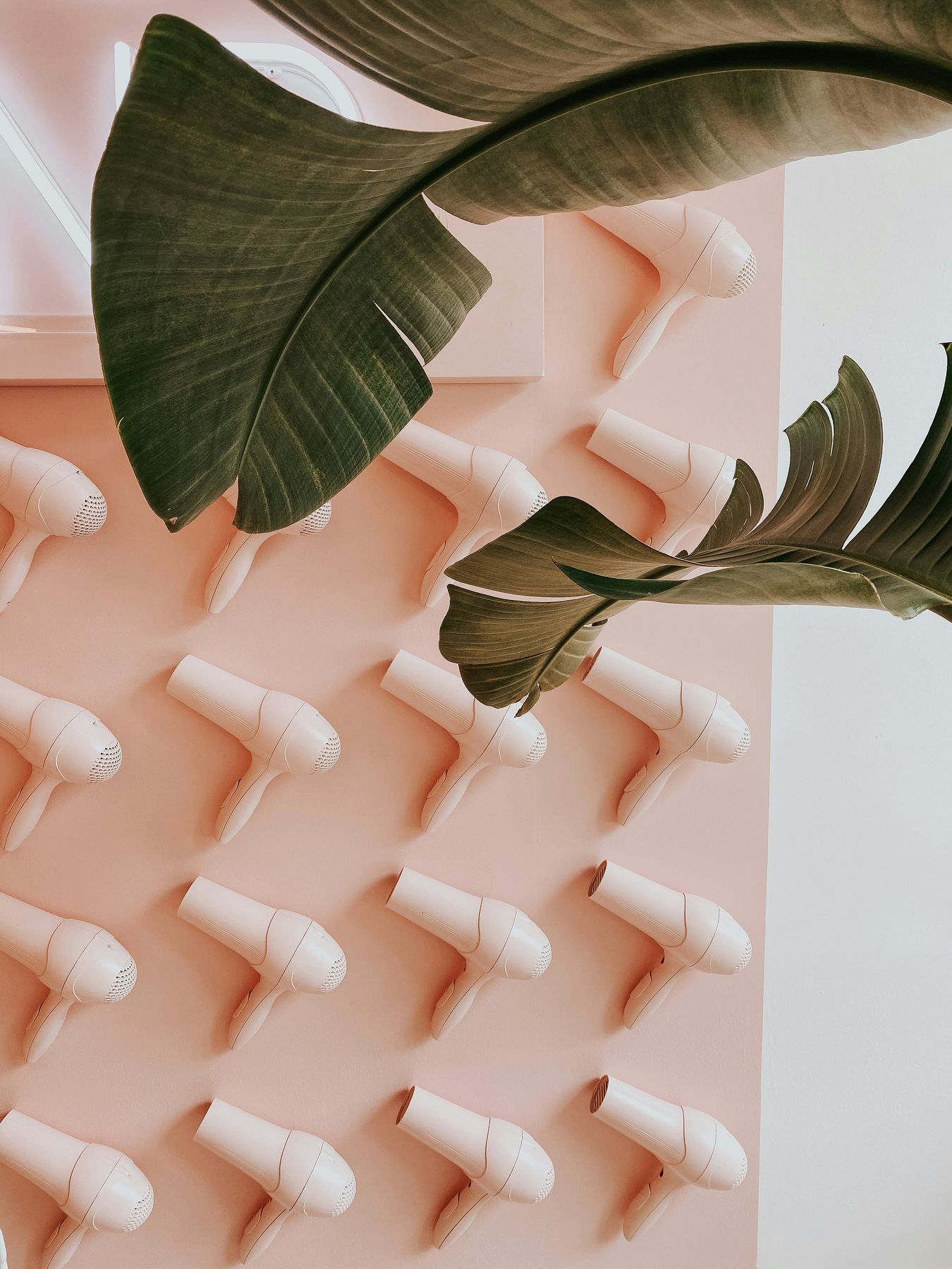 Palm leaves against a blush-pink salon wall